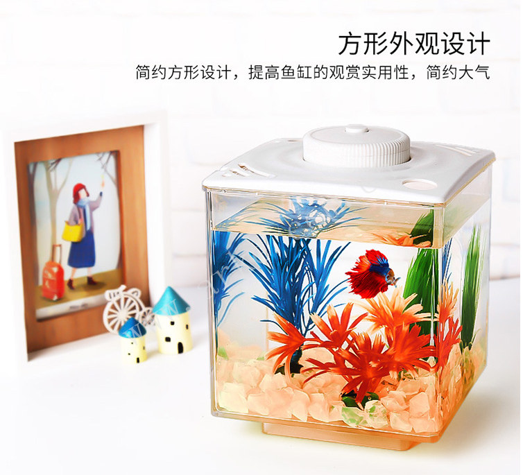 Acrylic Landscape Fishbowl